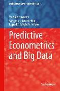 Predictive Econometrics and Big Data