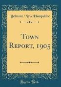 Town Report, 1905 (Classic Reprint)