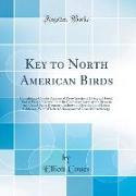 Key to North American Birds