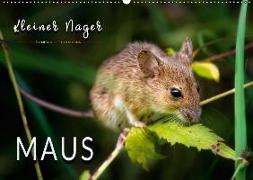 Kleiner Nager - Maus (Wandkalender 2018 DIN A2 quer)
