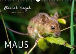 Kleiner Nager - Maus (Wandkalender 2018 DIN A3 quer)