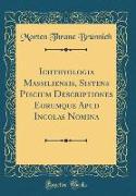 Ichthyologia Massiliensis, Sistens Piscium Descriptiones Eorumque Apud Incolas Nomina (Classic Reprint)