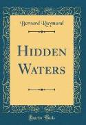 Hidden Waters (Classic Reprint)