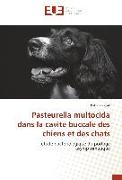 Pasteurella multocida dans la cavité buccale des chiens et des chats