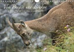 Von Bergen und Böcken (Wandkalender 2018 DIN A4 quer)