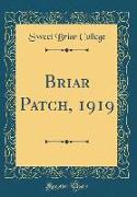 Briar Patch, 1919 (Classic Reprint)