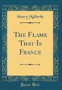 The Flame That Is France (Classic Reprint)