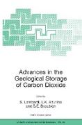 Advances in the Geological Storage of Carbon Dioxide