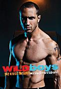 Wild Boys: Gay Erotic Fiction