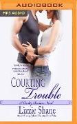 Courting Trouble