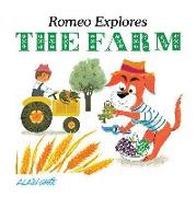 Romeo Explores the Farm