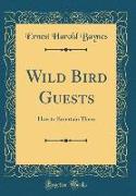 Wild Bird Guests