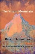 The Virgin Mountain