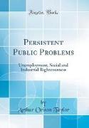Persistent Public Problems