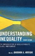 Understanding Inequality