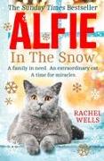 Alfie in the Snow
