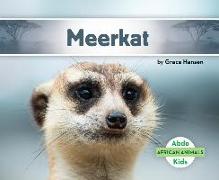 Meerkat