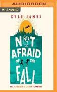 Not Afraid of the Fall: 114 Days Through 38 Cities in 15 Countries