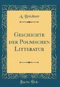 Geschichte der Polnischen Litteratur (Classic Reprint)