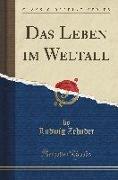 Das Leben im Weltall (Classic Reprint)