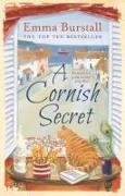 A Cornish Secret