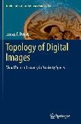 Topology of Digital Images