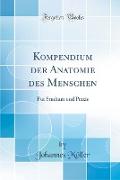 Kompendium Der Anatomie Des Menschen: Für Studium Und Praxis (Classic Reprint)