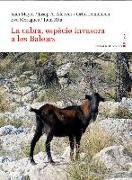 La cabra, espècie invasora a les Balears