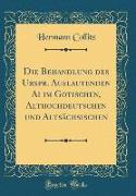 Die Behandlung des Urspr. Auslautenden Ai im Gotischen, Althochdeutschen und Altsächsischen (Classic Reprint)