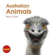 Australian Animals