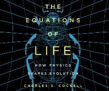 The Equations of Life: How Physics Shapes Evolution