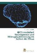 tDCS moduliert Neurogenese und Mikrogliaaktivierung im Gehirn der Maus