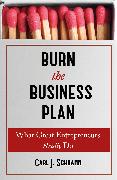 Burn The Business Plan