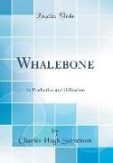Whalebone: Its Production and Utilization (Classic Reprint)