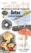 Setas y otros hongos
