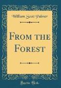 From the Forest (Classic Reprint)