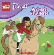 Andrea's New Horse