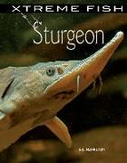 Sturgeon