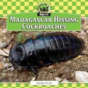 Madagascar Hissing Cockroaches