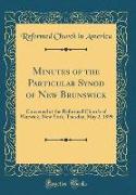 Minutes of the Particular Synod of New Brunswick