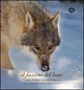 Il fascino del lupo. Cane lupo cecoslovacco-The charm oh a wolf. Czechoslovakian wolfdog