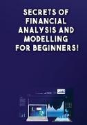 Secrets of Financial Analysis and Modelling For Beginners!