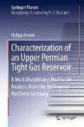 Characterization of an Upper Permian Tight Gas Reservoir