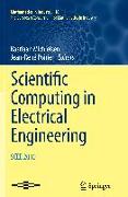 Scientific Computing in Electrical Engineering SCEE 2010