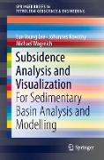 Subsidence Analysis and Visualization