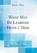 What May Be Learned from a Tree (Classic Reprint)