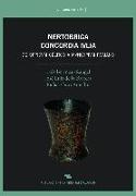 Nertobriga : Concordia Ivlia, de oppidvm céltico a mvnicipivm romano : excavaciones sistemáticas 1987-2011