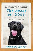 The Grace of Dogs