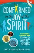 Confirmed in the Joy of the Spirit