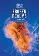 Frozen Realms